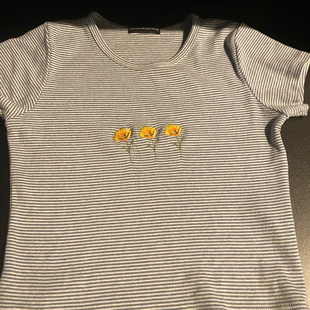 Brandy Melville Crop Top